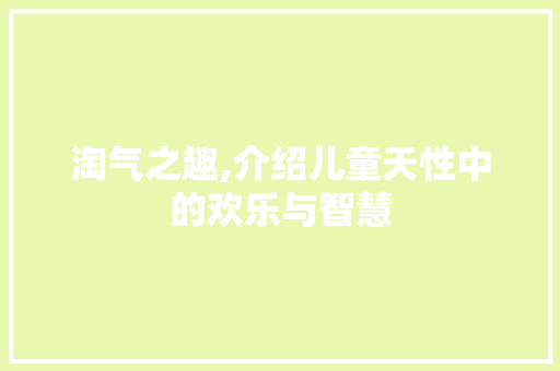 淘气之趣,介绍儿童天性中的欢乐与智慧