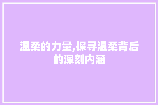 温柔的力量,探寻温柔背后的深刻内涵