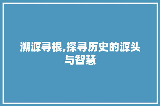溯源寻根,探寻历史的源头与智慧