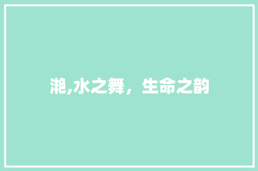 滟,水之舞，生命之韵