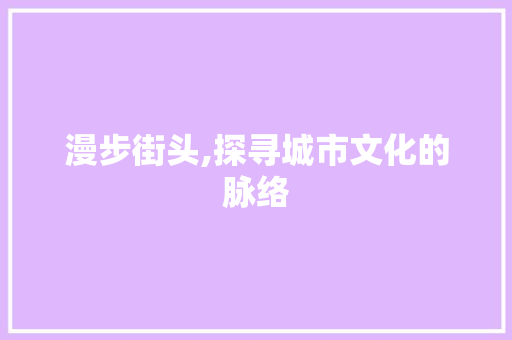 漫步街头,探寻城市文化的脉络