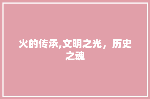 火的传承,文明之光，历史之魂