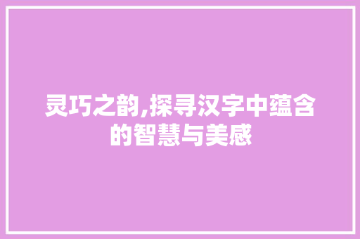 灵巧之韵,探寻汉字中蕴含的智慧与美感