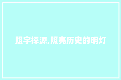 照字探源,照亮历史的明灯