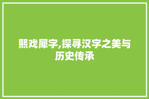 熙戏犀字,探寻汉字之美与历史传承