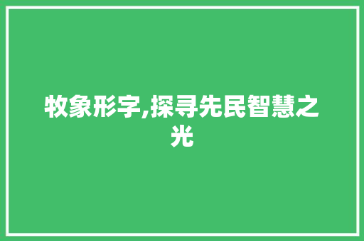 牧象形字,探寻先民智慧之光