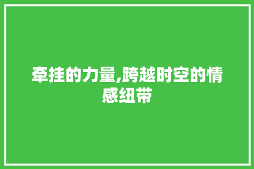 牵挂的力量,跨越时空的情感纽带