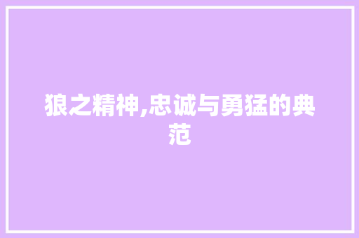 狼之精神,忠诚与勇猛的典范