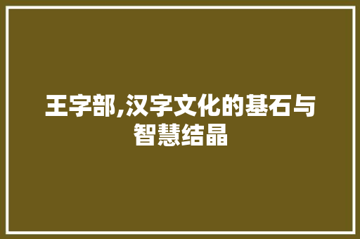 王字部,汉字文化的基石与智慧结晶