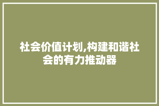 社会价值计划,构建和谐社会的有力推动器