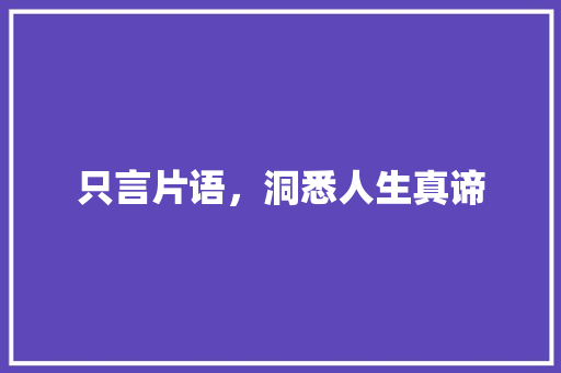 只言片语，洞悉人生真谛