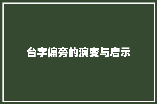 台字偏旁的演变与启示