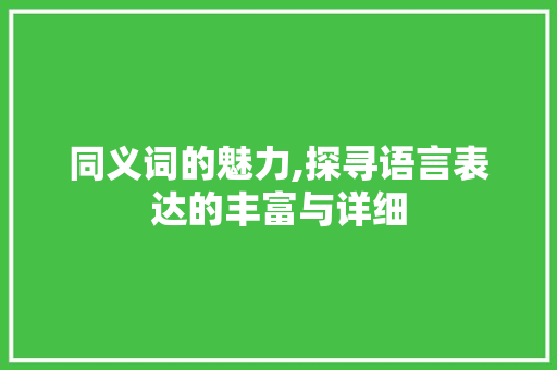 同义词的魅力,探寻语言表达的丰富与详细