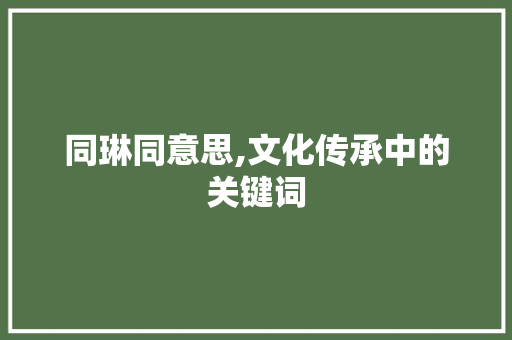 同琳同意思,文化传承中的关键词