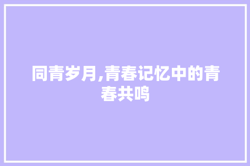 同青岁月,青春记忆中的青春共鸣