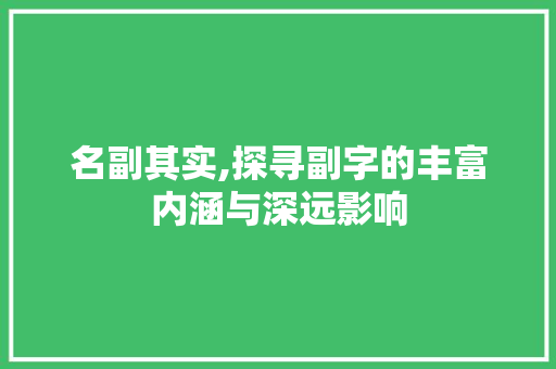 名副其实,探寻副字的丰富内涵与深远影响