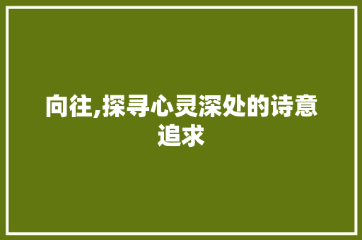 向往,探寻心灵深处的诗意追求