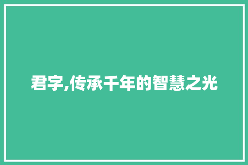 君字,传承千年的智慧之光