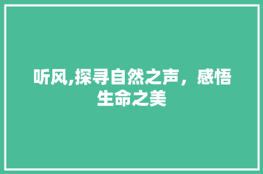 听风,探寻自然之声，感悟生命之美