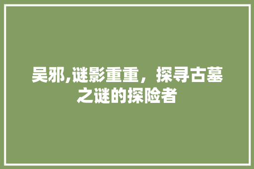 吴邪,谜影重重，探寻古墓之谜的探险者