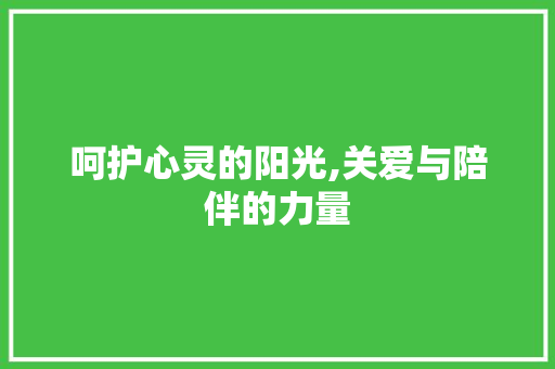 呵护心灵的阳光,关爱与陪伴的力量