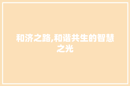 和济之路,和谐共生的智慧之光