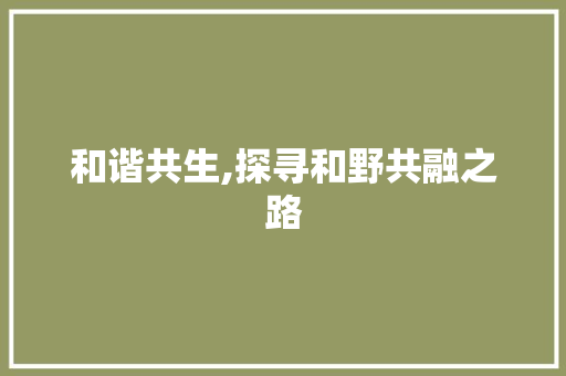 和谐共生,探寻和野共融之路