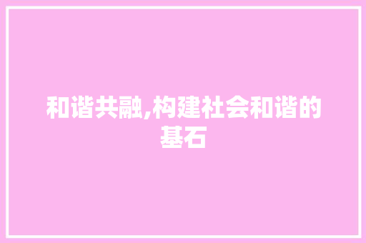 和谐共融,构建社会和谐的基石