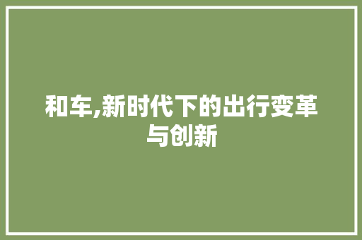 和车,新时代下的出行变革与创新