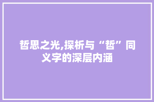 哲思之光,探析与“哲”同义字的深层内涵
