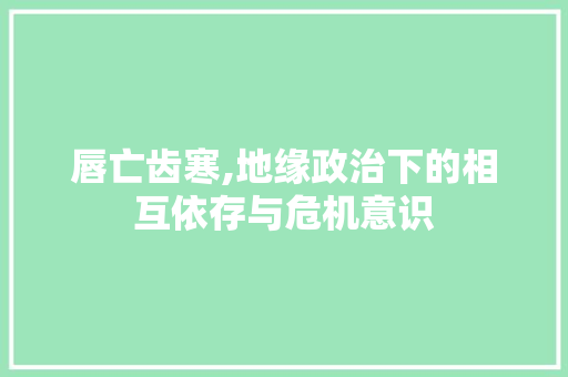唇亡齿寒,地缘政治下的相互依存与危机意识