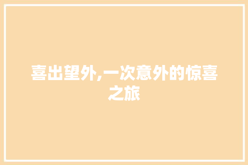 喜出望外,一次意外的惊喜之旅
