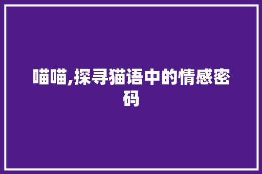 喵喵,探寻猫语中的情感密码
