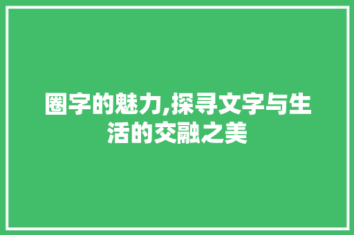 圈字的魅力,探寻文字与生活的交融之美