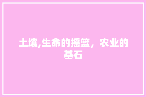 土壤,生命的摇篮，农业的基石
