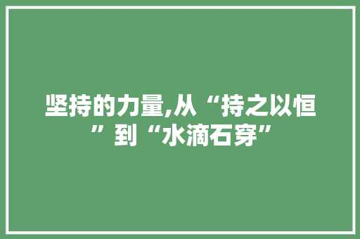 坚持的力量,从“持之以恒”到“水滴石穿”