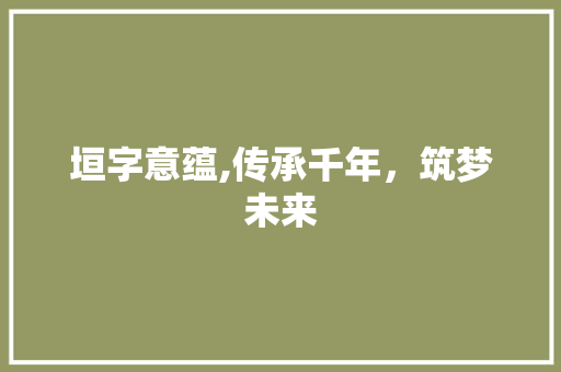 垣字意蕴,传承千年，筑梦未来