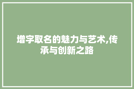 增字取名的魅力与艺术,传承与创新之路