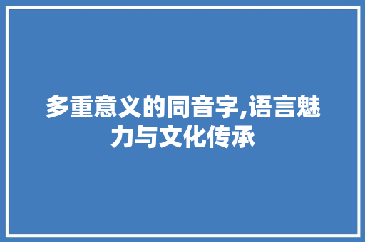 多重意义的同音字,语言魅力与文化传承