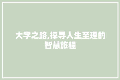 大学之路,探寻人生至理的智慧旅程