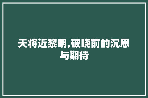 天将近黎明,破晓前的沉思与期待