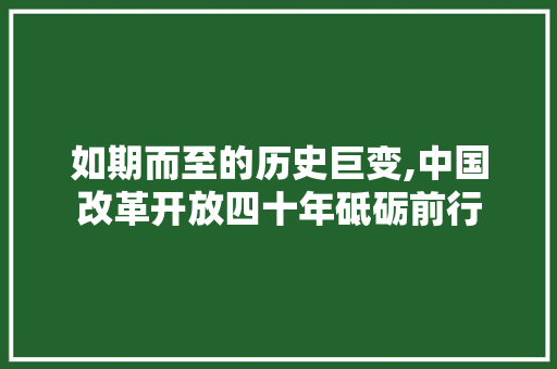 如期而至的历史巨变,中国改革开放四十年砥砺前行