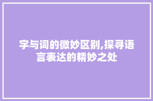 字与词的微妙区别,探寻语言表达的精妙之处