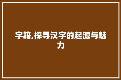 字籍,探寻汉字的起源与魅力