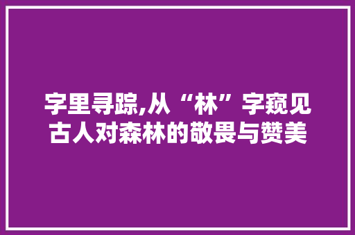 字里寻踪,从“林”字窥见古人对森林的敬畏与赞美