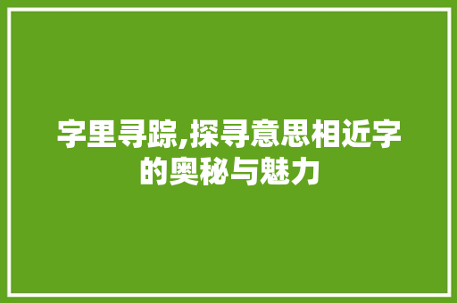 字里寻踪,探寻意思相近字的奥秘与魅力