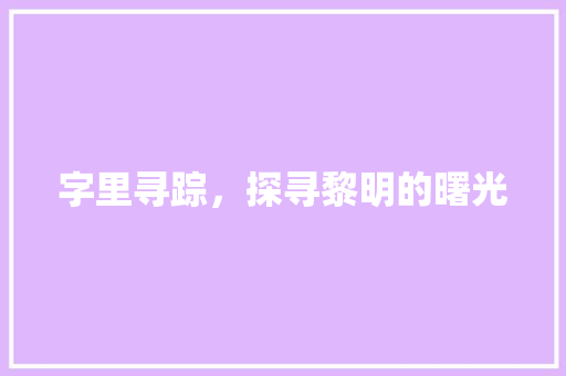 字里寻踪，探寻黎明的曙光