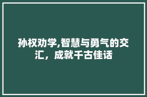 孙权劝学,智慧与勇气的交汇，成就千古佳话