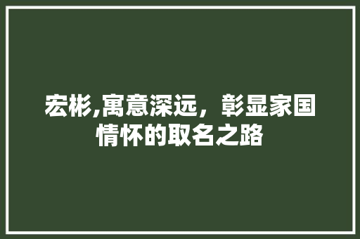 宏彬,寓意深远，彰显家国情怀的取名之路