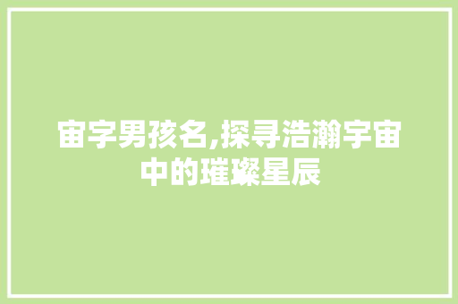 宙字男孩名,探寻浩瀚宇宙中的璀璨星辰